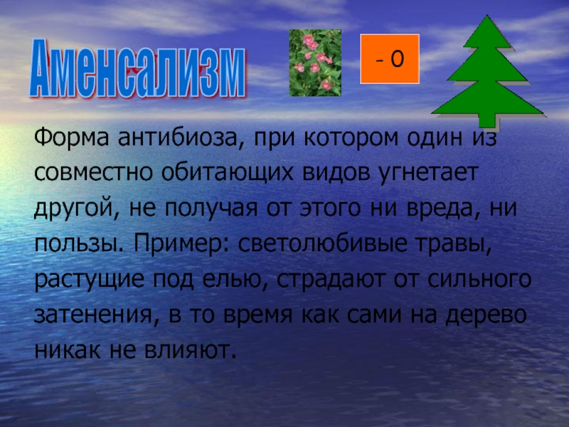 Презентация по биологии антибиоз