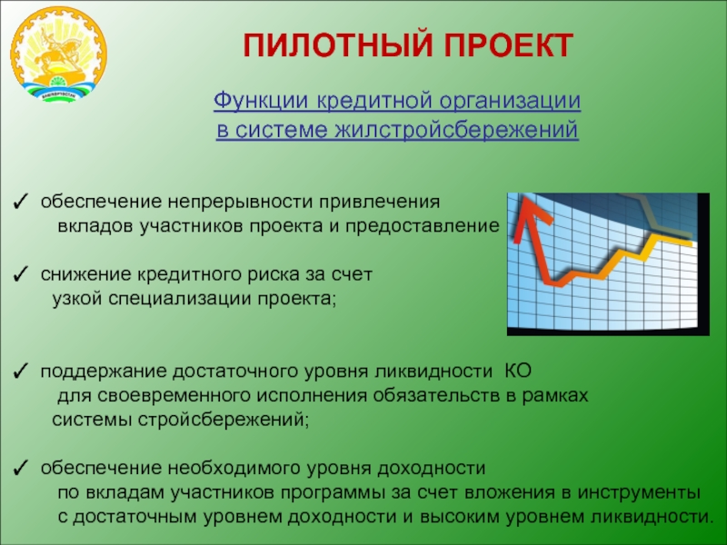 Программа пилотного проекта