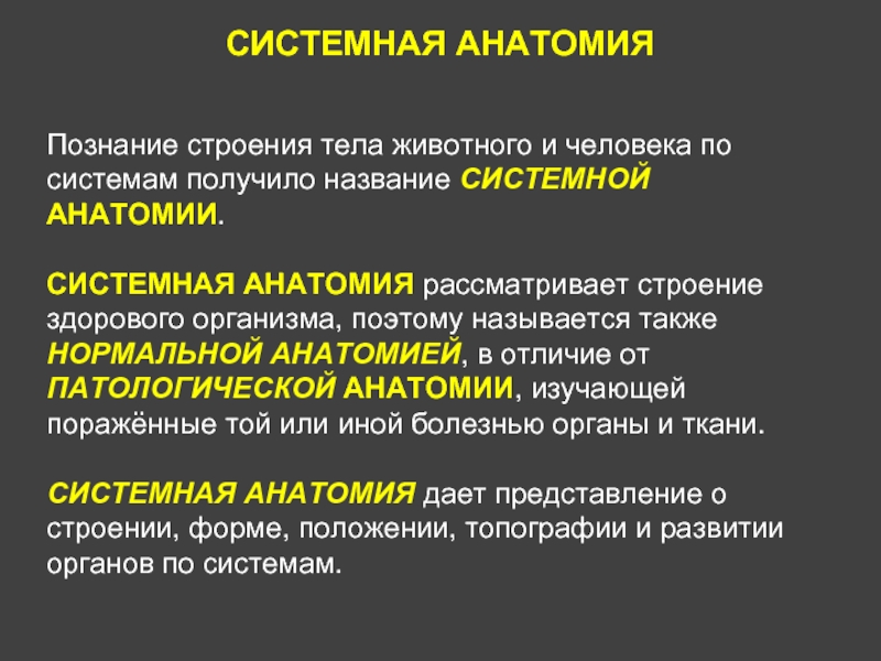 Тело животного и человека. Системная анатомия. Что рассматривает системная анатомия. Анатомия текст. Какие разделы включает в себя анатомия.