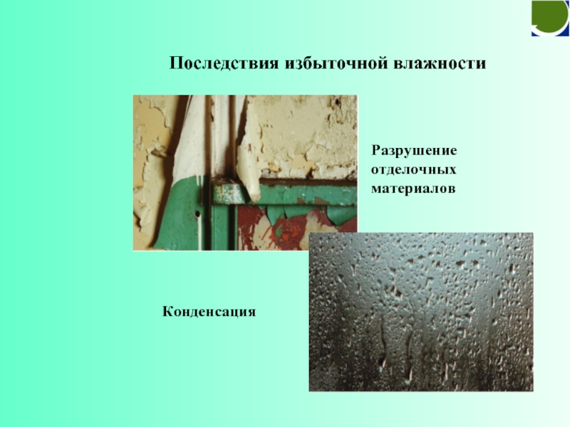 Переизбыток влаги. Избыточная влажность. Последствия влажности. Избыток влаги в почве. Избыток влаги в почве влияет на растения.