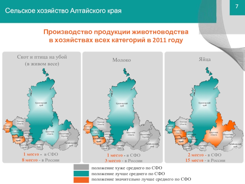 Сибирский федеральный округ. Экономика Сибирского федерального округа. СФО сельское хозяйство. Сибирский федеральный округ сельское хозяйство. Алтайский край на карте федерального округа.