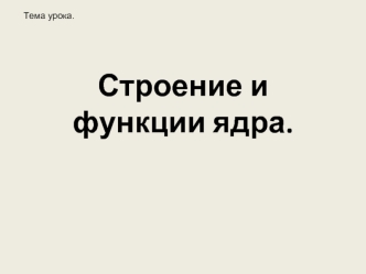 Строение и функции ядра