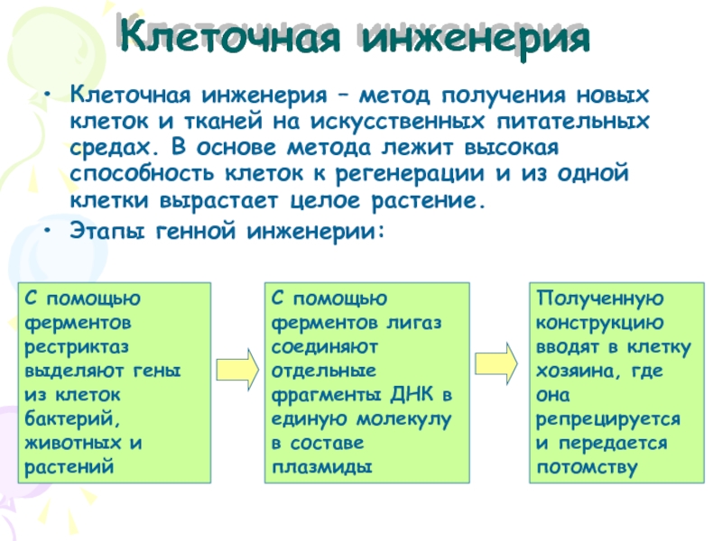 Доклад Генная И Клеточная Инженерия