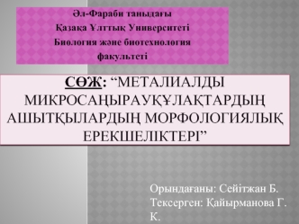 Металиалды микросаңырауқұлақтардың ашытқылардың морфологиялық ерекшеліктері