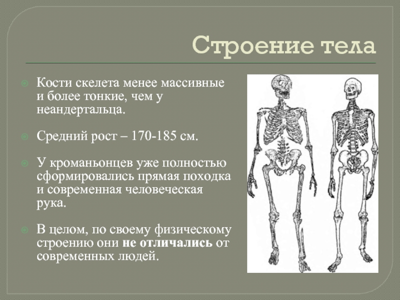 Кроманьонец мозг. Скелет неандертальца и кроманьонца. Кроманьонец строение.