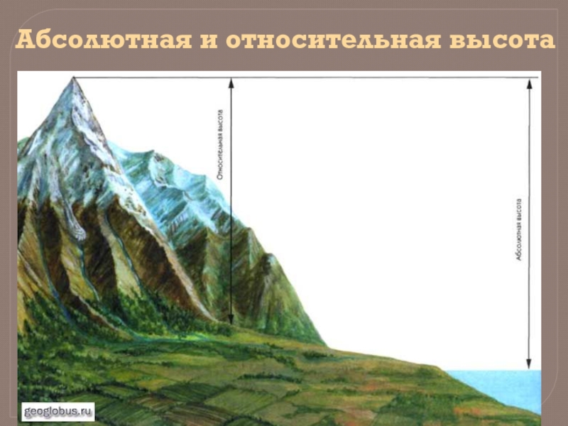 По рисунку определите абсолютную и относительную высоту холма или горы относительно подошвы