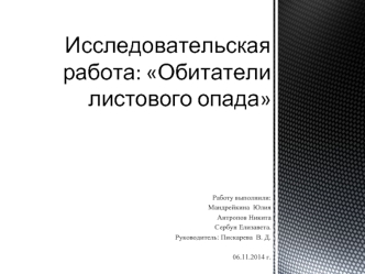 Исследовательская работа: Обитатели листового опада