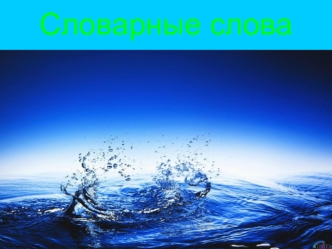 Словарные слова