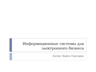 Информационные системы для электронного бизнеса