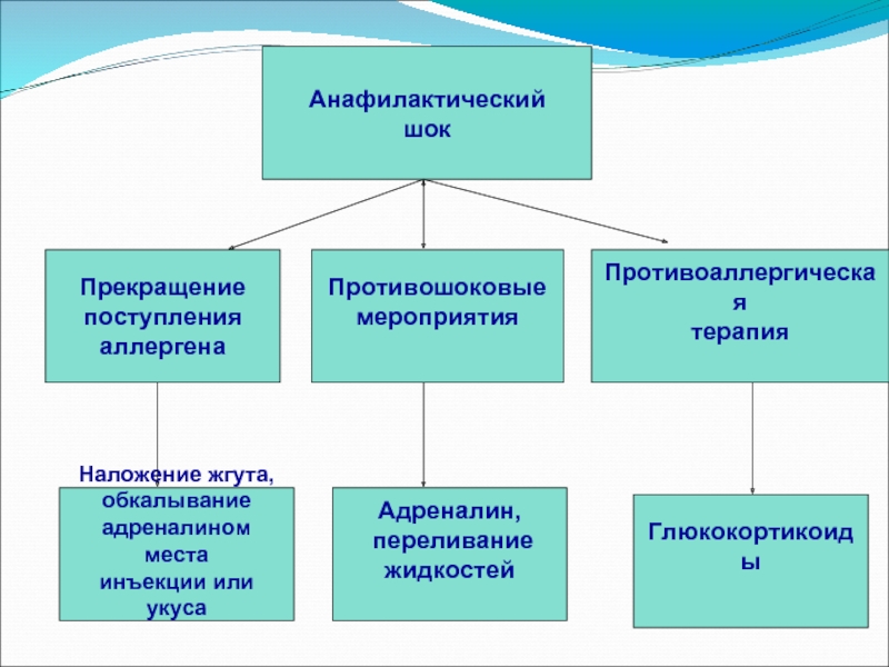 Анафилактический шок схема