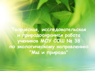 Творческая, исследовательская и природоохранная работа учеников МОУ СОШ № 38 по экологическому направлению