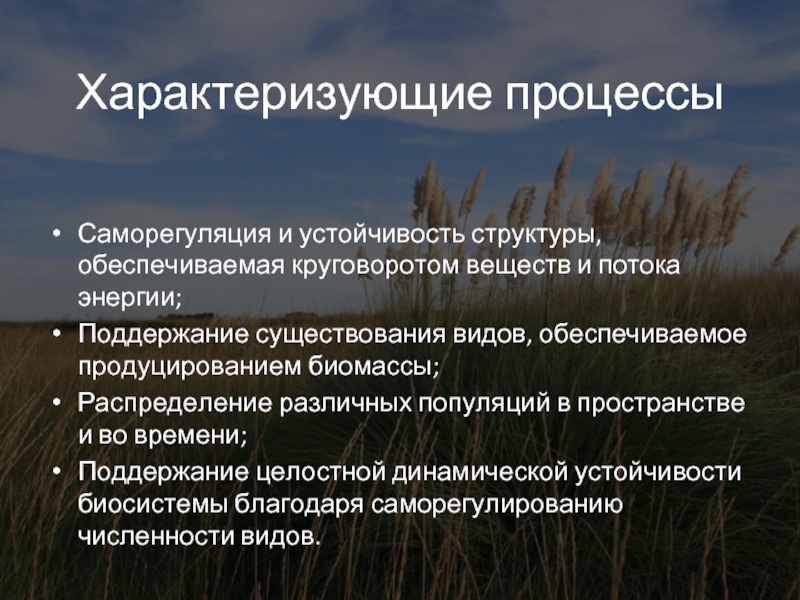 Устойчивая структура. Продуцирование биомассы. Продуцирование биомассы распределение видов. Основные процессы в экосистемах: продуцирование. Устойчивость структуры.