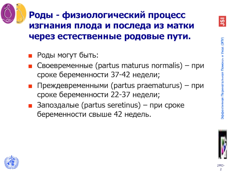 Путь род. Роды это физиологический процесс изгнания плода.