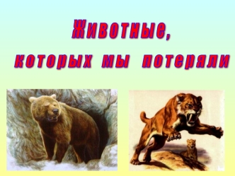 Ж и в о т н ы е ,