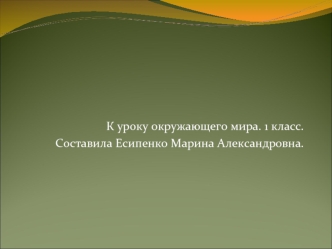 Почему мы часто слышим слово Экология?