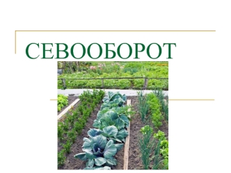 Севооборот