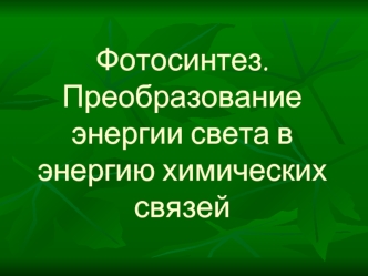 Фотосинтез. Преобразование энергии света в энергию химических связей