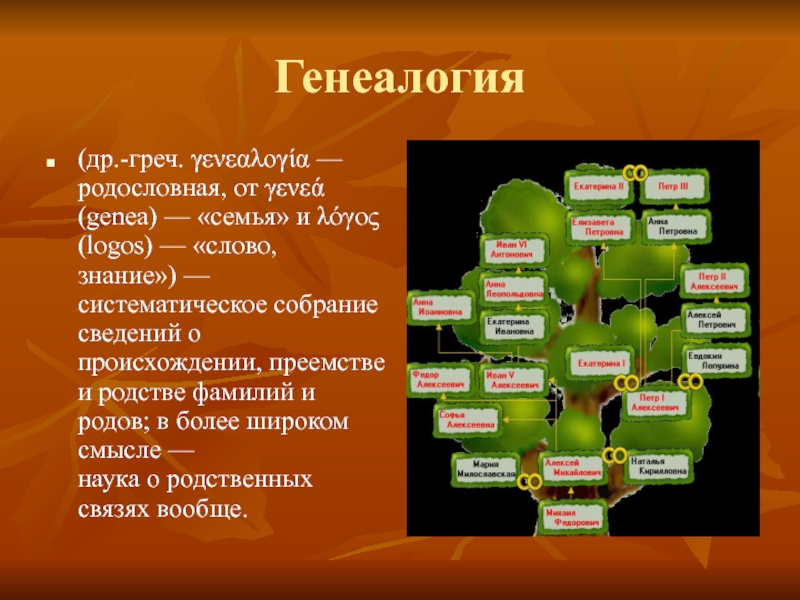 Генеалогия. Генеалогия это наука изучающая. Что такое генеалогия определение. Наука генеалогия кратко.