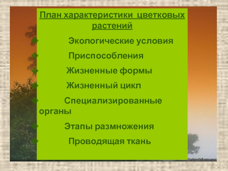 Дайте характеристику природы