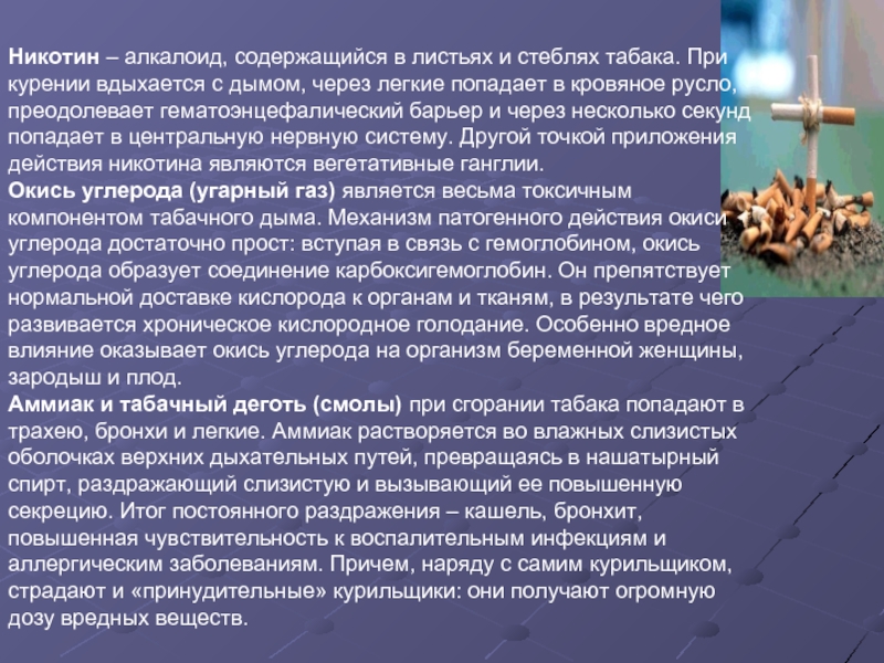 6 никотина. Алкалоид никотин. Алкалоиды табака. Влияние никотина на слизистую артериального русла. Основное фарм.действие при курении.