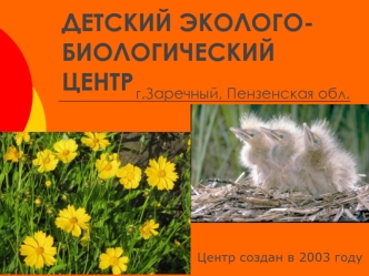 ДЕТСКИЙ ЭКОЛОГО-БИОЛОГИЧЕСКИЙ ЦЕНТР
