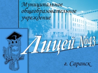 Главная задача лицея - подготовка школьников к успешному обучению на естественных и технических факультетах вузов.