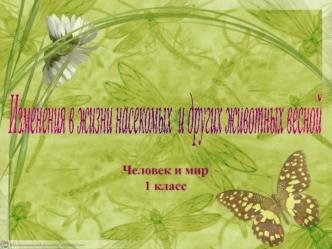 Изменения в жизни насекомых и других животных весной (человек и мир, 1 класс)