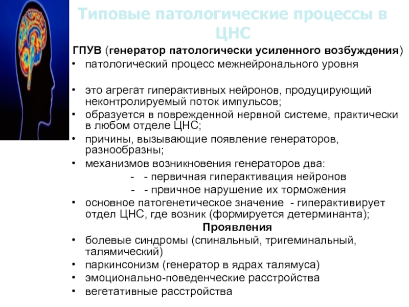 Схема механизмов формирования генератора патологически усиленного возбуждения