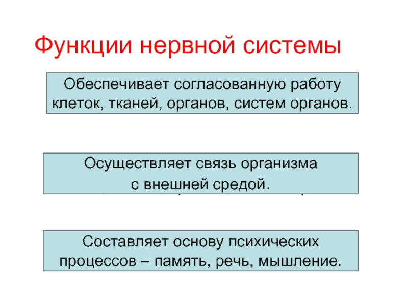 По которое обеспечивает согласованную работу всех узлов компьютера