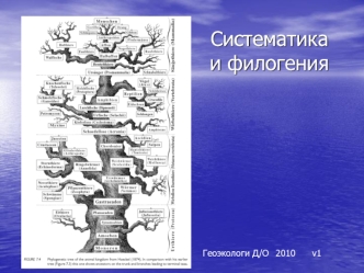 Систематика и филогения органического мира