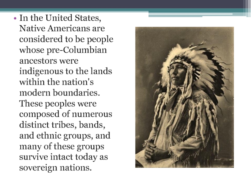 Доклад по теме The native americans