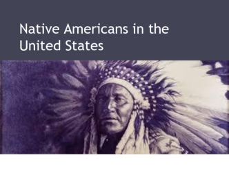 Native аmericans in the United States
