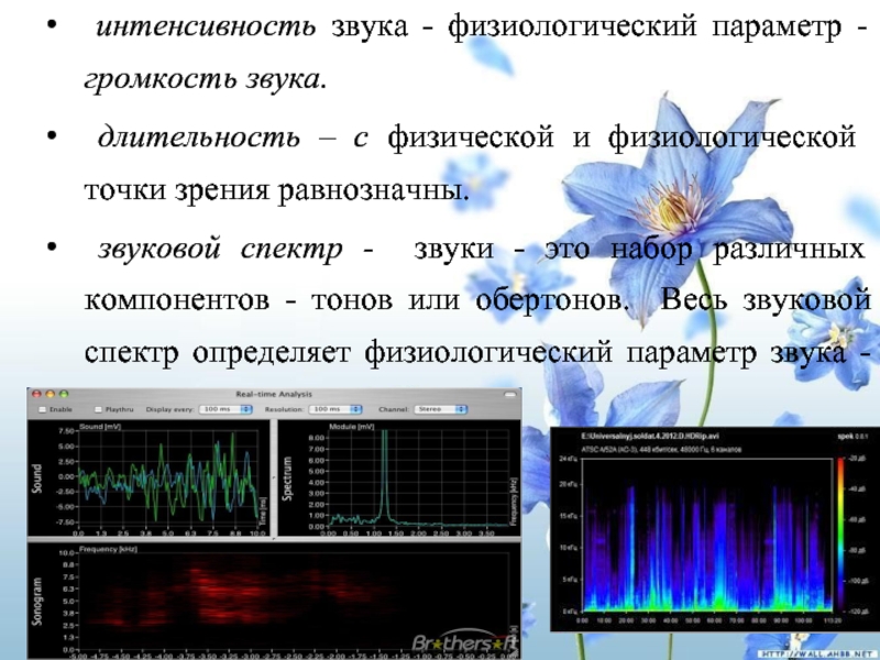 Характеристики звука интенсивность