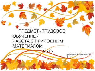 Работа с природным материалом. Аппликация (трудовое обучение. 9 класс)