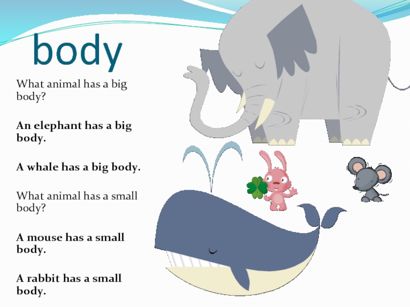 animal has a big body?An elephant has a big body.A whale has a big bo...