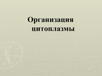 Организация цитоплазмы