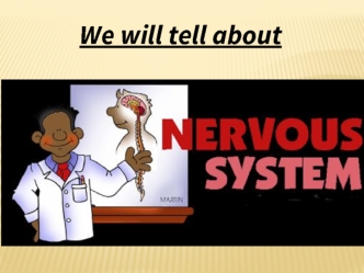 The nervous system