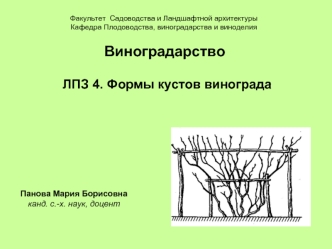 Формы кустов винограда