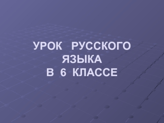 УРОК   РУССКОГО   ЯЗЫКА В  6  КЛАССЕ