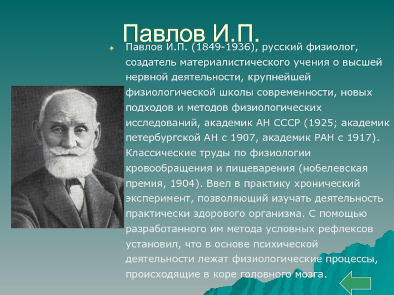 Известному русскому ученому физиологу павлову принадлежит. Павлов и.п. (1849-1936).