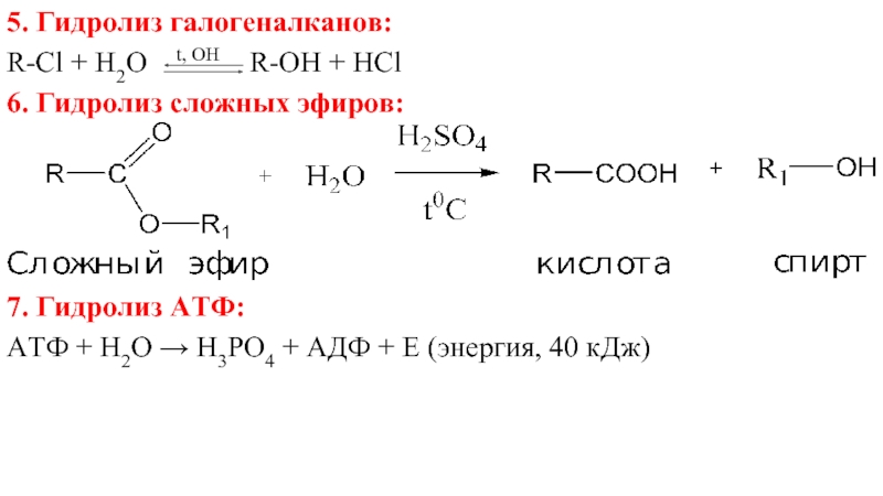 Презентация гидролиз органических веществ
