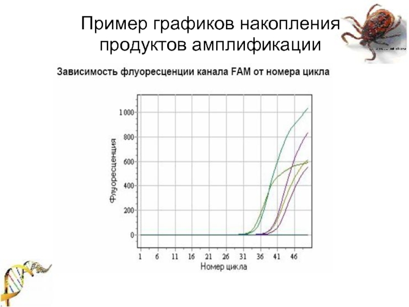 Диаграмма без накопления