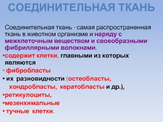 Соединительная ткань