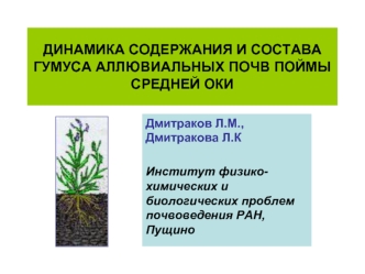 ДИНАМИКА СОДЕРЖАНИЯ И СОСТАВА ГУМУСА АЛЛЮВИАЛЬНЫХ ПОЧВ ПОЙМЫ СРЕДНЕЙ ОКИ