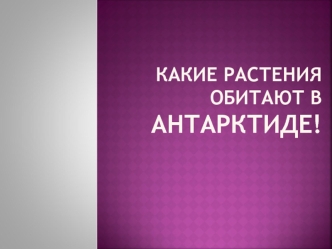 Какие растения обитают в Антарктиде