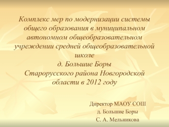 Комплекс мер по модернизации системы общего образования в муниципальном автономном общеобразовательном учреждении средней общеобразовательной школе д. Большие БорыСтарорусского района Новгородской области в 2012 году