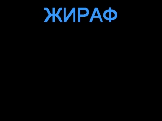 Жираф