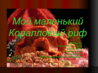 Мой маленький Коралловый риф