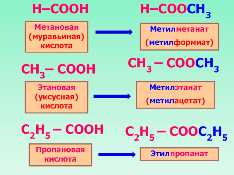 Ch3 cooh c2h5oh. Метановая кислота. Метановая кислота + метановая к-та. Метилформиат. Метановая кислота реагирует с.