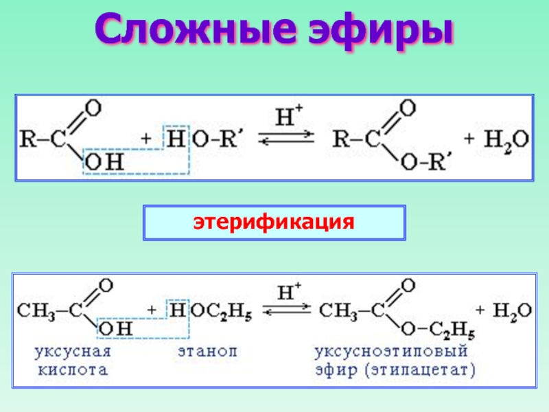 Простые и сложные эфиры презентация